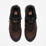 A1E5CB9E-6C46-E247-1EBF-0E8FF783D408_38b4e2a5-bc5e-4b64-a3da-3b32773f3b50