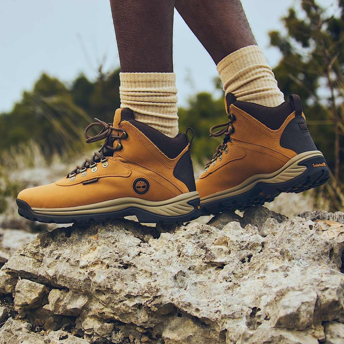 92512C5F-1845-7CA1-DEF2-119CD5B10F79