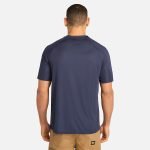 303AF0DE-3B1F-B8EE-BCDB-89E04244EBBB_f7105dfa-615a-4c54-b1e4-b5484642d267