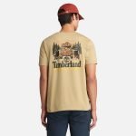 3EFF3CF6-0F3A-0AE5-48BC-5F0DA21D5BD0