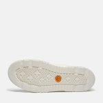 D5DCB21C-B5B9-0218-ECE6-EA7C2D728363