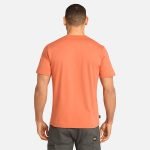 3403F1E2-B106-3DFD-4617-F60506718C8F