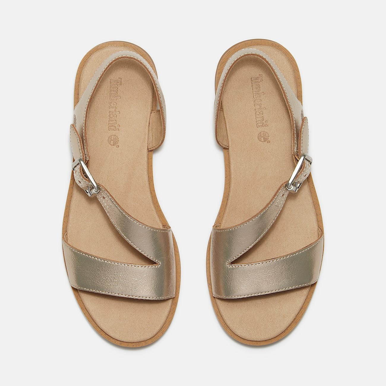 A3DC66F0-4E30-A0B1-F934-D1904830F490_88c724b9-d147-4c3a-bc03-f6511c5c800b