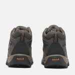 C3B11232-5EA7-8B0B-4756-6782D4A52413