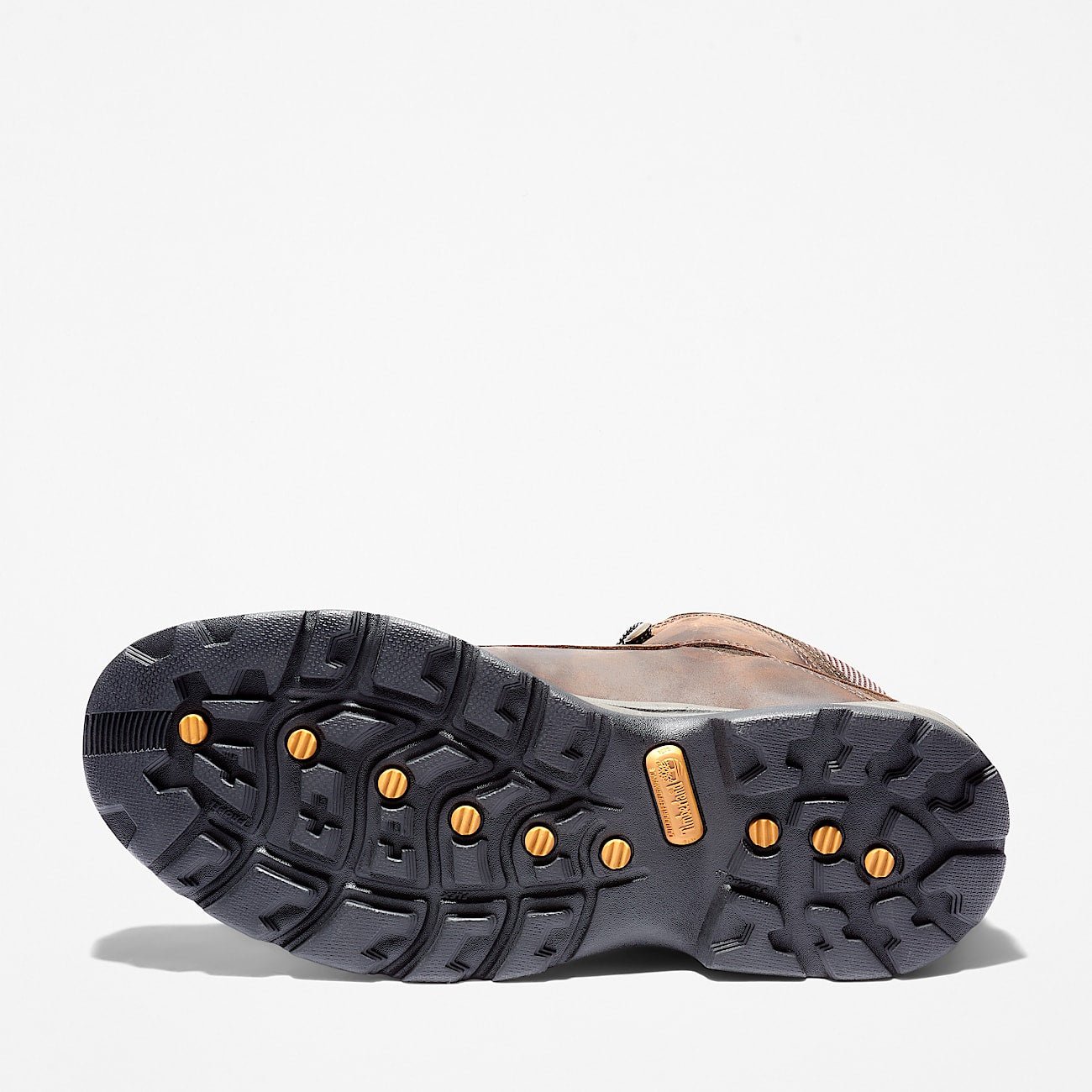 AB061C12-9250-52E8-8C06-FEE96B3464D0_2aedc7eb-829a-415f-984f-a96ccd66f0b3