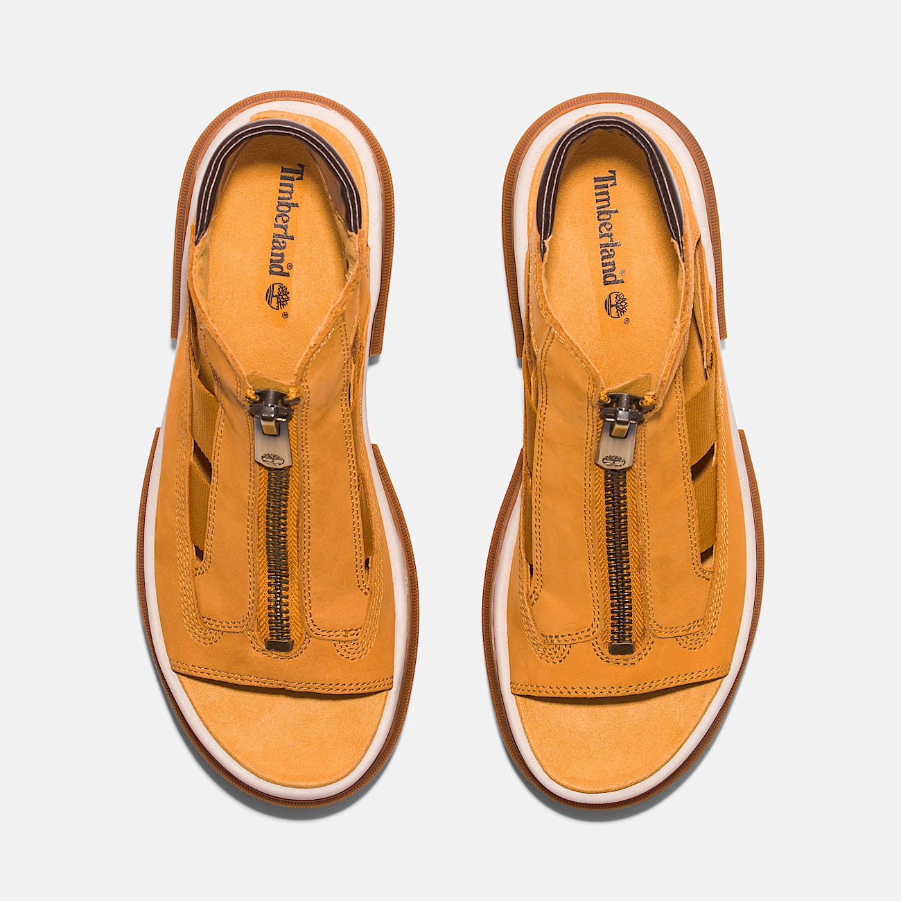 AB764CAF-5430-9D71-C67B-1DCA7668004C