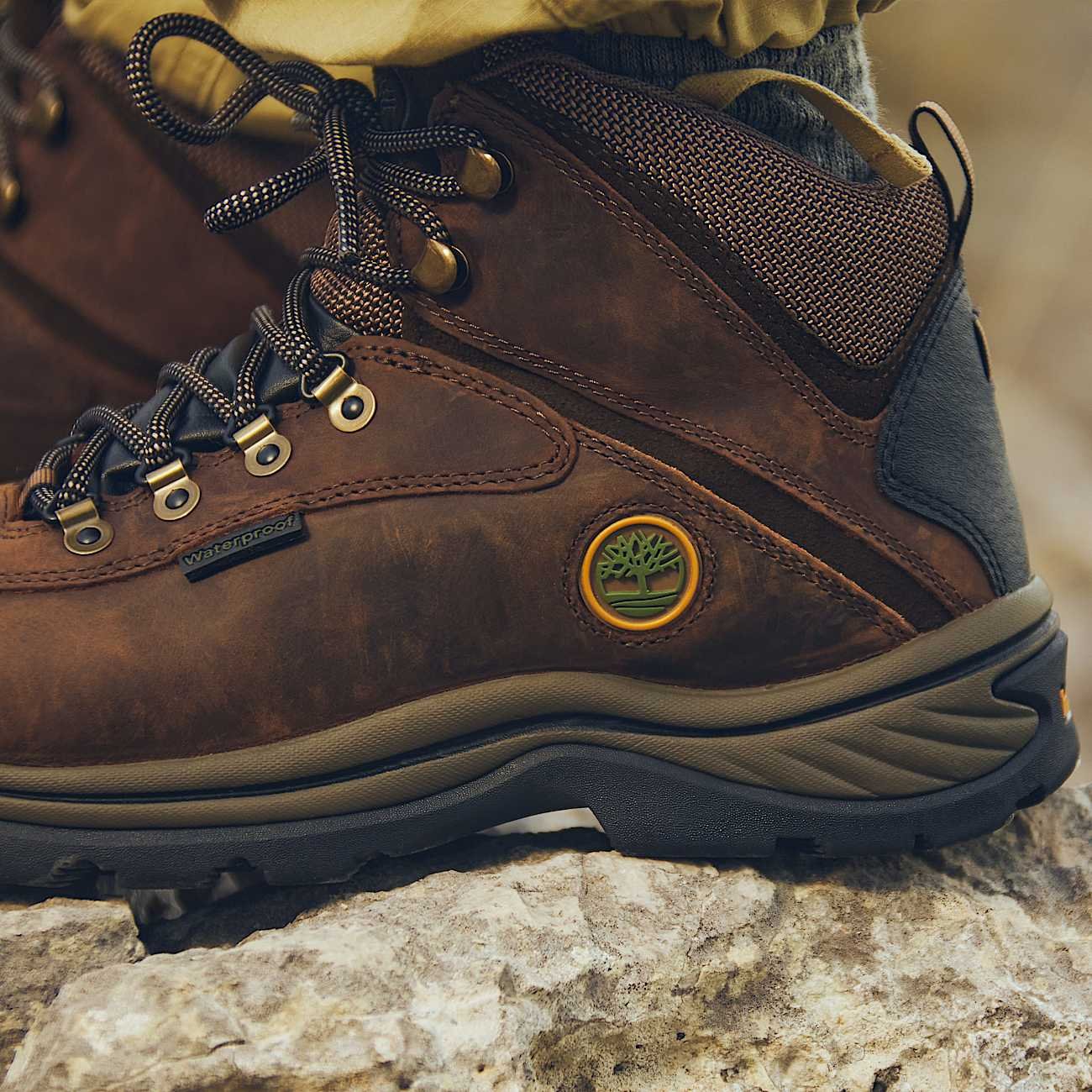 AE905E63-64B5-BDB8-6D57-7384695698CF