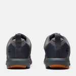 D1711FFF-17AA-4AB3-B359-39A9C0F954F3_dcadc981-b91a-4a31-9304-e0277ab03c5c