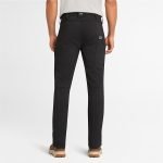 D74E0508-FC11-9634-5C78-565368DEC9B0_3c9e72f0-a720-4a76-8f20-7cc2365659d6