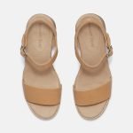 B0CF6F33-B734-7935-E0B1-39EB5312F3AF_413e8de8-7db2-4614-bec3-a17d42e432ec