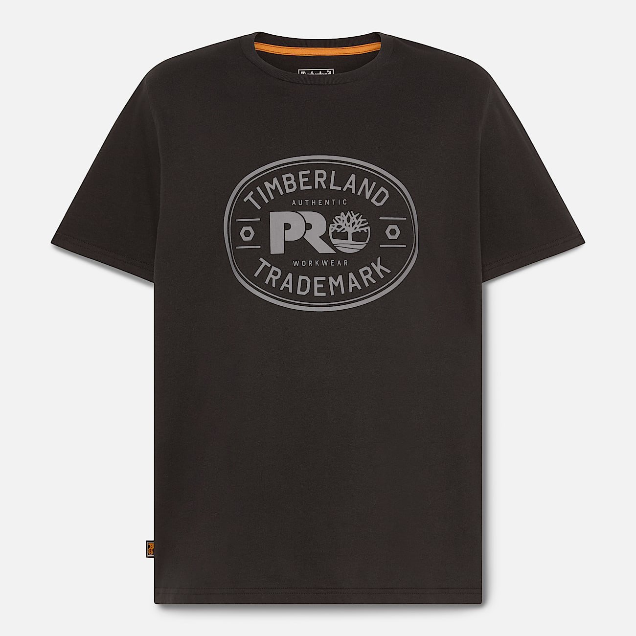 BEBA445A-6FAC-8571-69A2-B5DC2276C496