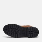 3BC0FB06-E67E-52DA-0666-794524DC8C2C_557ab528-5e27-4a6a-ba2f-4cff8b245a5b