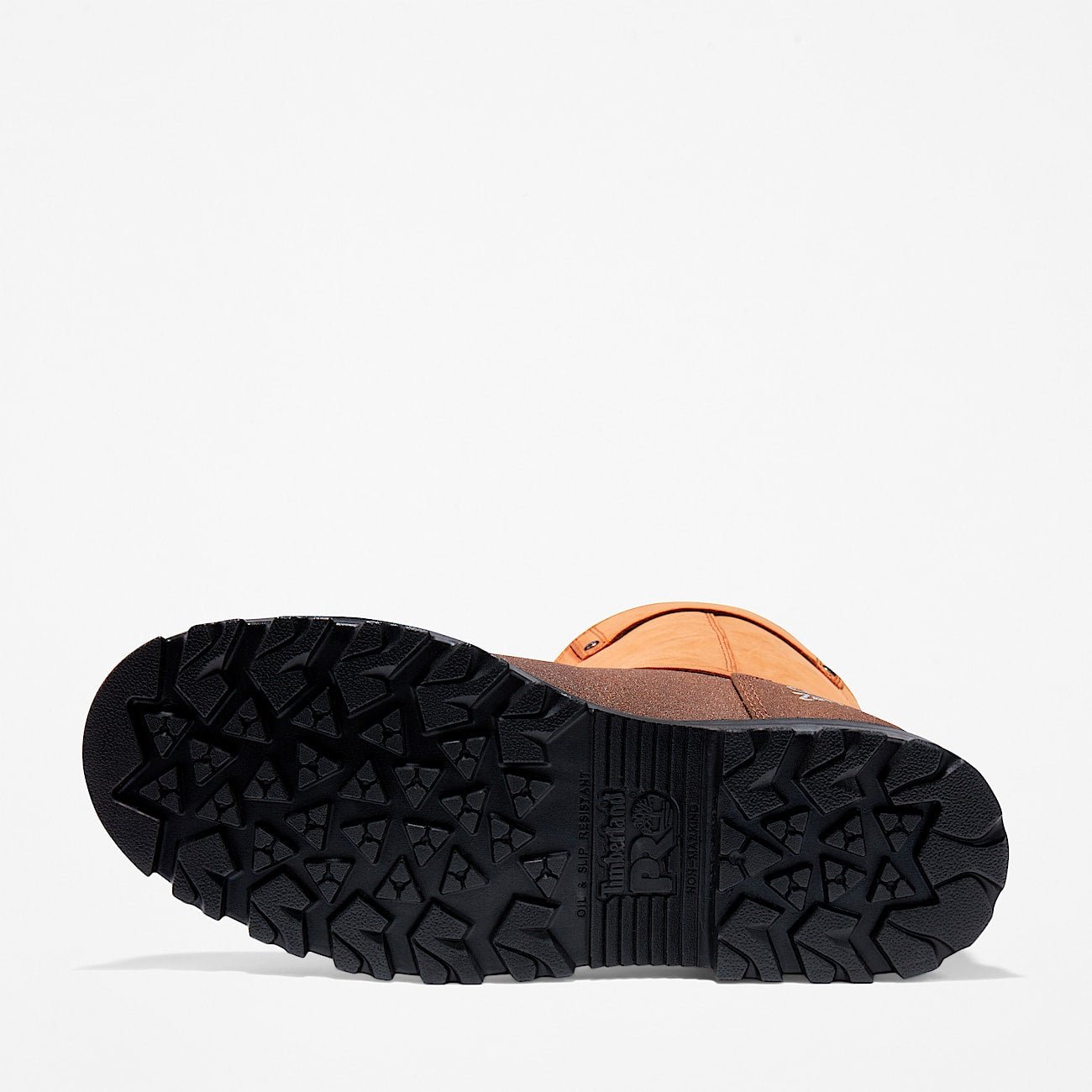 C436107E-7D62-2724-3BC5-856177DCB8A9_91bccf50-2eff-474c-a1a5-806898cb97c6