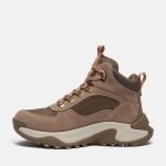 30137081-FBA4-B852-09DA-A9C0E6C6728D