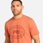 3403F1E2-B106-3DFD-4617-F60506718C8F