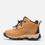 13B026E4-85D5-2913-283A-E293F33D6C61_4adcf856-1087-4d22-a4bc-e5d6abff3b6a