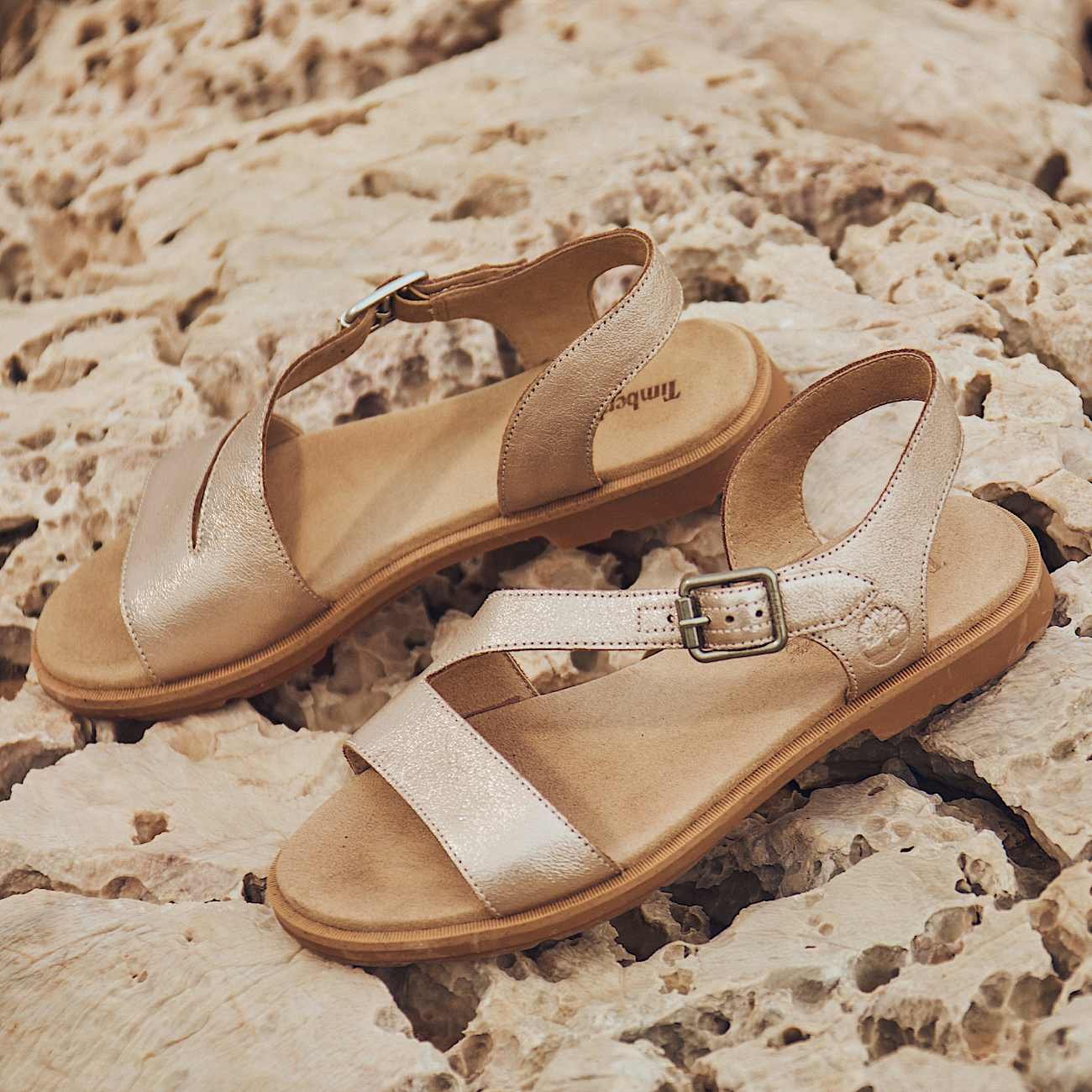 D50E11CB-3134-D4C2-65C5-98C54825805B_edbde71a-a12e-4f0f-ac0c-ef0ed5268e2d