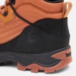 6653E8D4-AACC-5D38-A0E0-43F0D34671DC_2337a11a-87cd-4527-87f4-658f74bde4cb