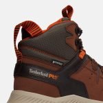 9A7DFCC3-562A-AB91-E9EF-C4235670364C_90e3cc2e-8469-4c04-8507-c354bfab9184