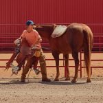 85BD26F1-7952-85DE-8CD9-659070A1A788