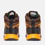 F1009763-6D78-ACE3-52C2-A42C299FC28F_4df0d598-d995-4fbf-8092-efa271f63f98