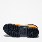 6E96917B-9D7D-9055-92DD-A74E9E6CA98B