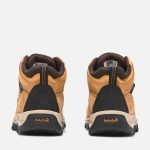 13B026E4-85D5-2913-283A-E293F33D6C61_4adcf856-1087-4d22-a4bc-e5d6abff3b6a