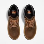 B601E525-E5DD-A48C-75E9-B48AF8D1F18F_dbabf8d9-bc0c-4044-8e91-6c3a625472c1