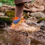 B29A0361-E4A8-8BB5-8FF0-F6663E637B0D