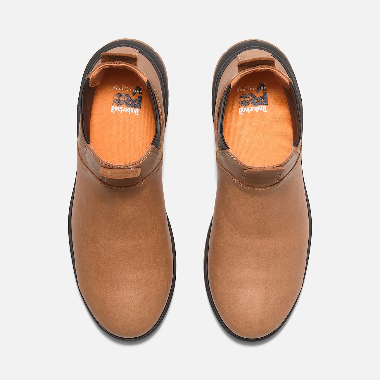 F8985536-D74B-0930-92B1-B7587660461D_b3562726-28e9-494b-8800-5fd1611b39c9