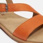 77F30018-95DA-4D88-5CE6-F5105B633139