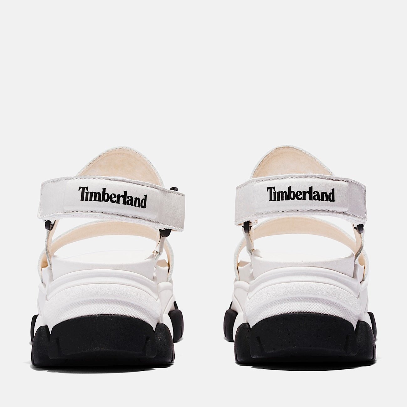 FF2B64EF-312D-E77B-4AEA-B5CC437A108C